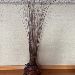 アジアンランプの画像