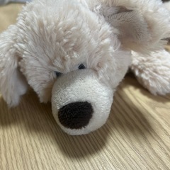 NICI ペンケース　ゴールデンレトリバーの画像