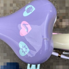 プリンセス18インチ
屋内保管の画像