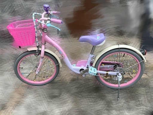 プリンセス18インチ
屋内保管