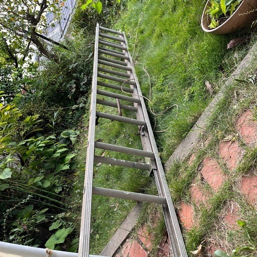 梯子　2連