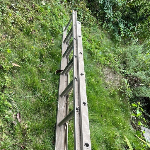 梯子　2連