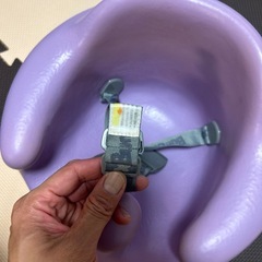 バンボの画像