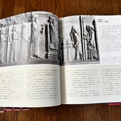 【ライフ　人類100万年　20冊】の画像