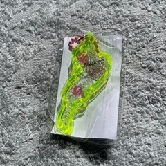 琵琶湖キーホルダー