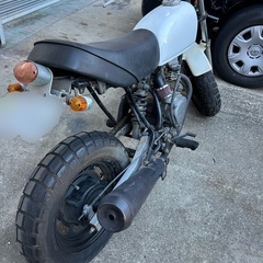 エイプ50の画像