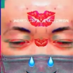 マジェ実動美車両の画像