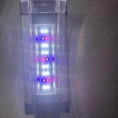 水槽用LEDライトの画像