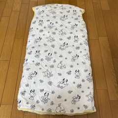 西川のダウンスリーパーロング の画像