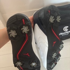 ゴルフ用シューズの画像