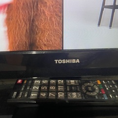 TOSHIBAレグザ19インチの画像
