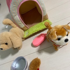 犬　部屋　セットの画像