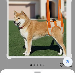 犬　歩行補助ハーネスの画像