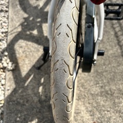 ルイガノLouis Garneau 子供用自転車 18インチの画像