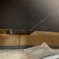 (断捨離中)クイーンベットの画像