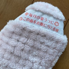小林製薬　天然蒸気　あずきのチカラの画像