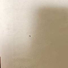ニトリ  首リクライニング座椅子(NウィンDGY)と座イス Ｎウィン・ルル専用カバー(キルト Nウィン GY) の画像