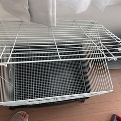 ケージ　小動物の画像