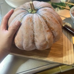 無農薬野菜かぼちゃ🎃🎃🎃の画像