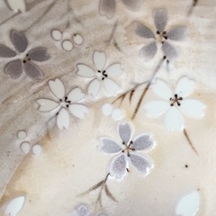 美濃焼 和食器 桜柄 鉢 ボウル 益見堂の画像