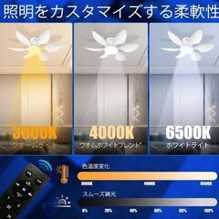 FIBRAVE LEDシーリングファンライト 40W E26 天井 リモコン付の画像