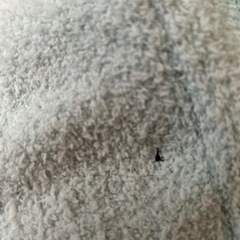 コンパクトモコモコ膝掛け・ソフト電気あんかの画像