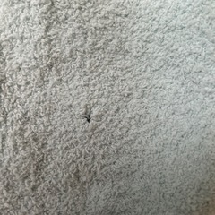 コンパクトモコモコ膝掛け・ソフト電気あんかの画像