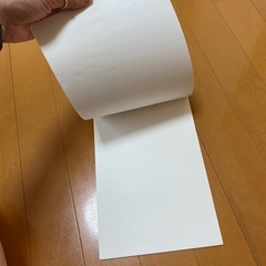 未使用品！！映し絵の画像