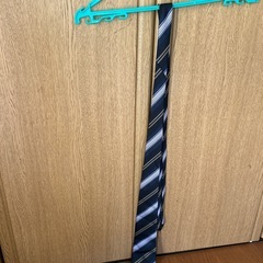 高校の制服男の子用，夏，冬，ネクタイセット！の画像