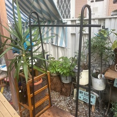 アイアンハンガーラックの画像