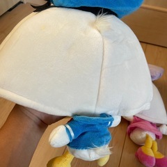 ディズニー、帽子、ドナルド、デイジーの画像