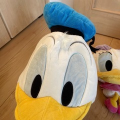 ディズニー、帽子、ドナルド、デイジーの画像