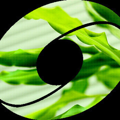 Javaエンジニア（業務系基幹システム）｜名古屋新拠点コアメンバー募集の画像