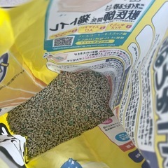 猫用トイレ　猫砂の画像