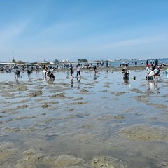 平日昼間に何かしらで暇つぶし出来る方募集です − 三重県