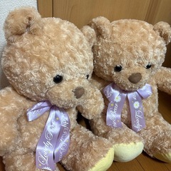 くまちゃんの画像