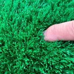 人工芝の画像