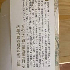 まとめて半額📕‼️太陽の石の画像