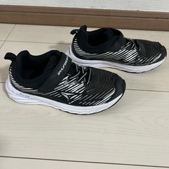 子供瞬足20cmの画像