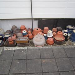 植木鉢　各種の画像