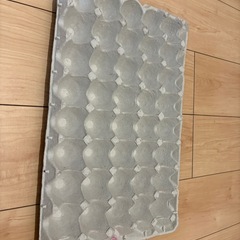紙製卵トレー100枚の画像