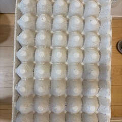 紙製卵トレー100枚の画像