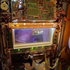 うる星やつら2 パチスロ コイン不要機の画像