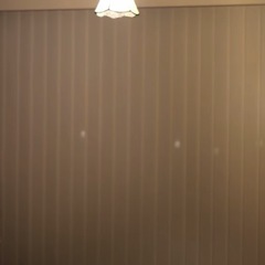 タチカワブラインド　バーチカル(縦型)ブラインドの画像