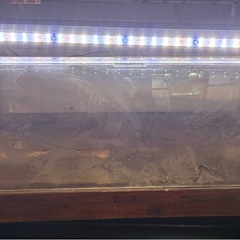 90cmアクリル水槽&ライトに2セットの画像