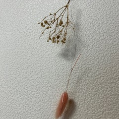 フラワーガーランド
の画像
