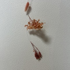 フラワーガーランド
の画像