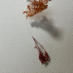 フラワーガーランド
の画像