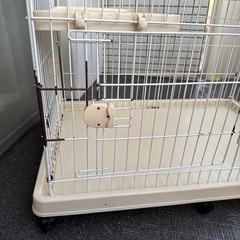 猫 ケージの画像