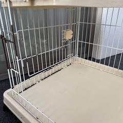 猫 ケージの画像